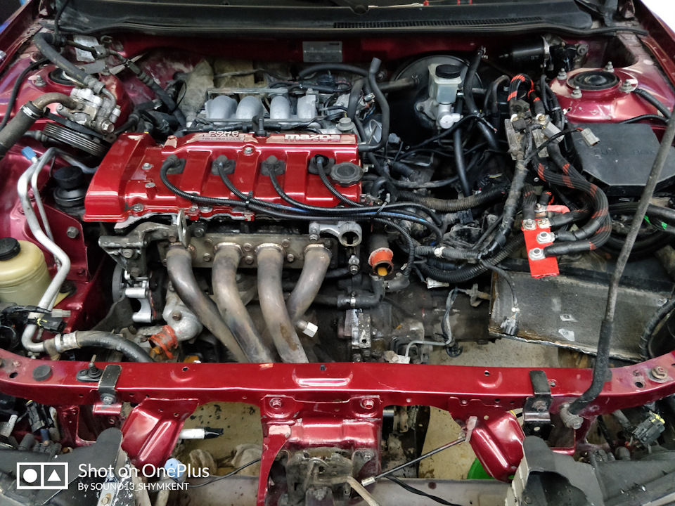 В наличии двигатель мазда 626 1.8 f8 (12v) новый и б/у. выбор контрактных, б/у, новых, после ремонта двигателей mazda 626 1.8 f8 (12v)