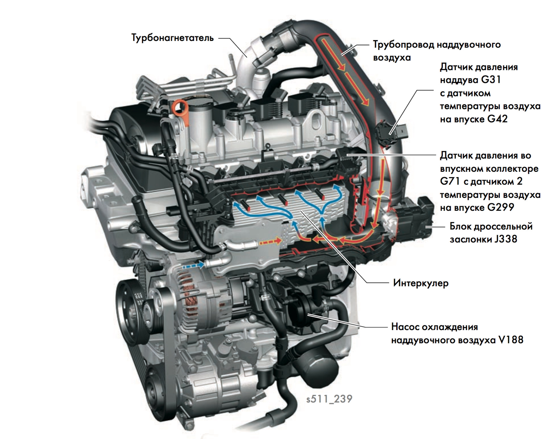 Volkswagen touran 1.2, 1.4, 1.6, 1.8, 1.9, 2.0 масло для двигателя: сколько и какое нужно заливать
