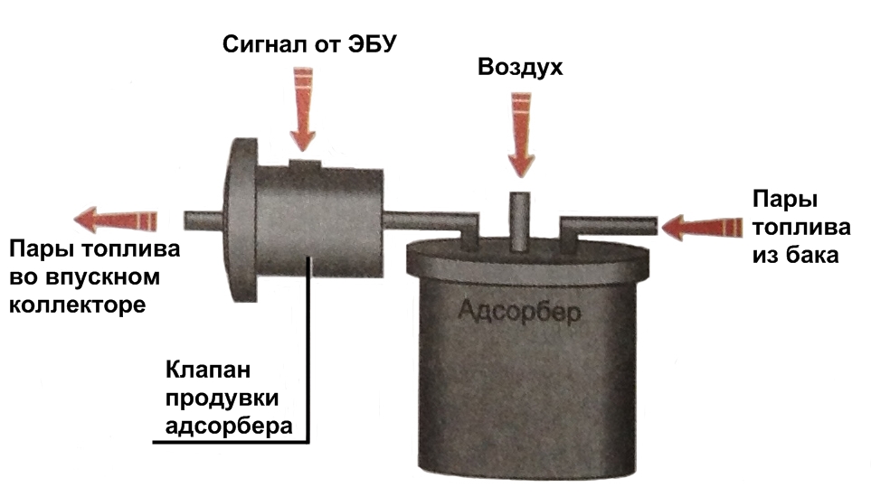 Адсорбер и клапан адсорбера на приоре: важные части системы