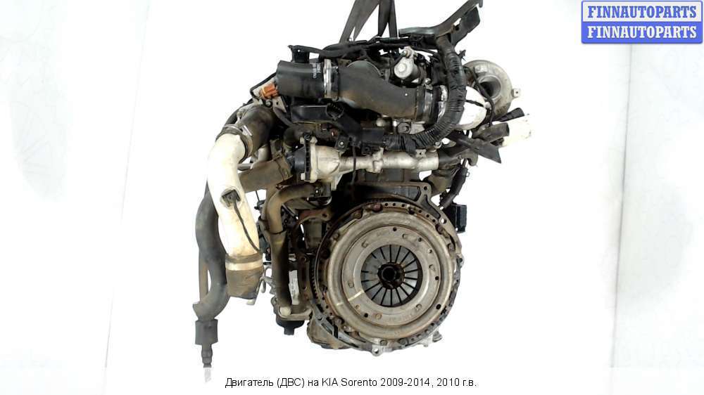 Двигатель d4ha – характеристики, проблемы, модификации и надежность